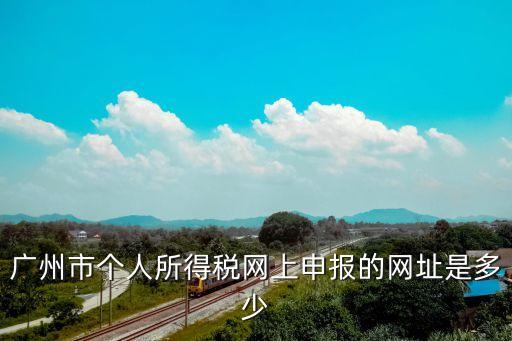 廣州市個人所得稅網上申報的網址是多少