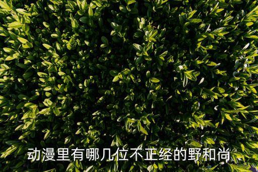 與僧侶的交合之夜,日本動漫里的僧侶有肉吃肉沒什么不同!