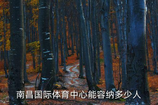 南昌國際體育中心能容納多少人