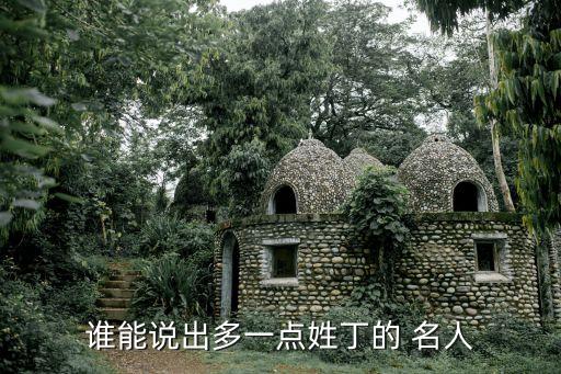 誰能說出多一點姓丁的 名人