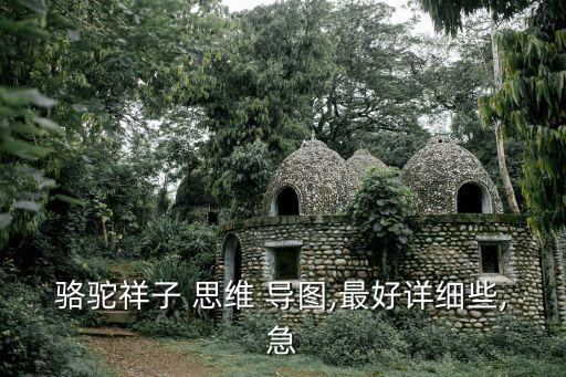 思維導圖圖片