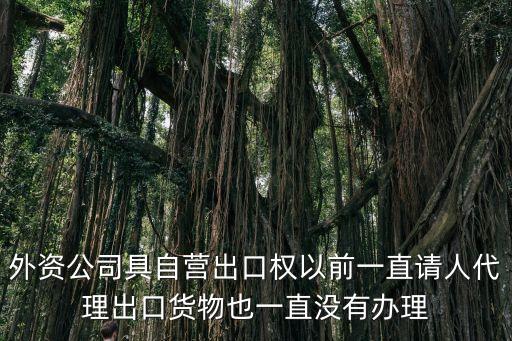 廣州外商麗池部長電話，涉及外商債務的咨詢