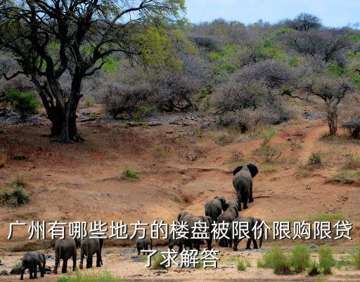 廣州新房限價，如何申請廣州限價房及流程