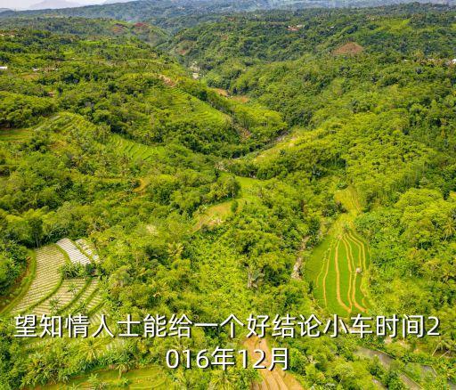 望知情人士能給一個(gè)好結(jié)論小車時(shí)間2016年12月