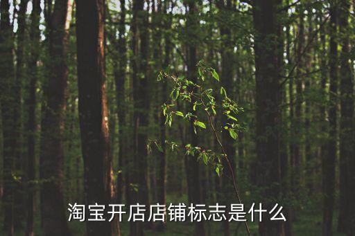 店標設計,淘寶店設計店標可參考店鋪形象