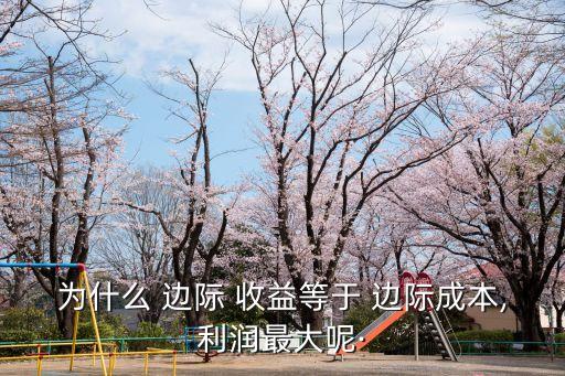 為什么 邊際 收益等于 邊際成本,利潤最大呢·
