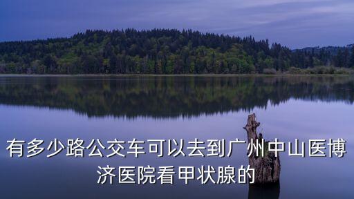 廣州中山醫博濟甲狀腺，有多少路公交車可以去到廣州中山醫博濟醫院看甲狀腺的