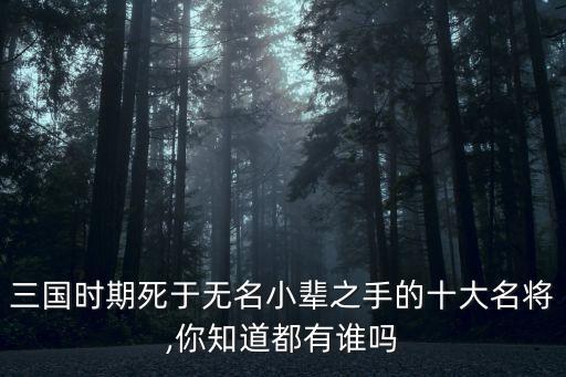三國時期死于無名小輩之手的十大名將,你知道都有誰嗎