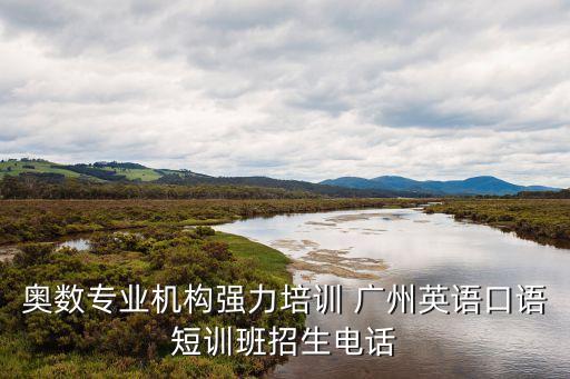 廣州溫莎國際教育，奧數(shù)專業(yè)機構強力培訓 廣州英語口語短訓班招生電話