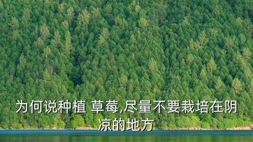 草莓地,草莓地用什么除草劑?化學防除技術供參考