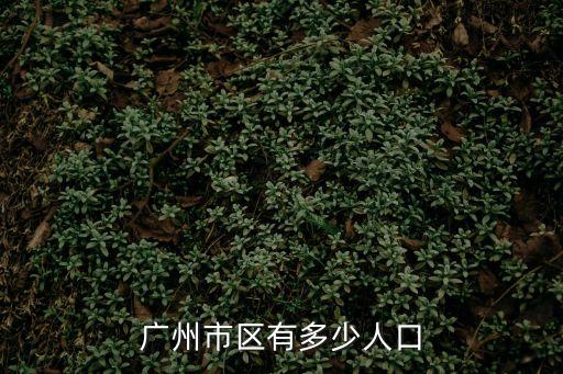 廣州市區有多少人口