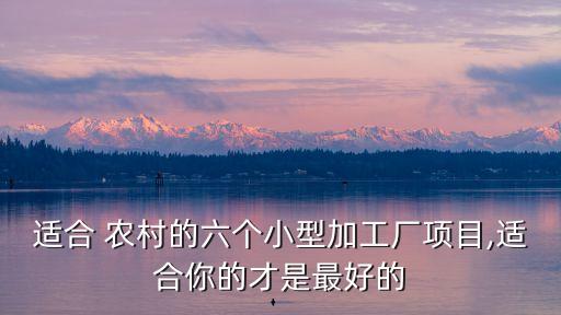 農村辦廠致富,開個不愁銷路的小廠