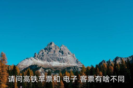 請問高鐵車票和 電子 客票有啥不同