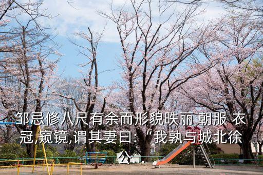 鄒忌修八尺有余而形貌昳麗 朝服 衣冠,窺鏡,謂其妻曰:“我孰與城北徐公...