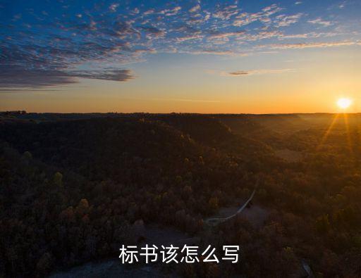 招標(biāo)書模板,寫一份簡(jiǎn)單的招標(biāo)書模板