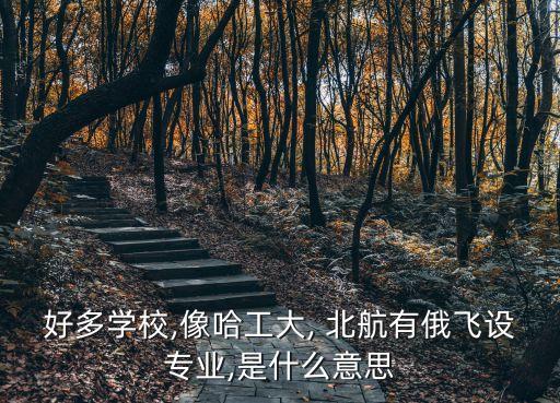 北航外國語學院,北航外語類保送生招生簡章出爐