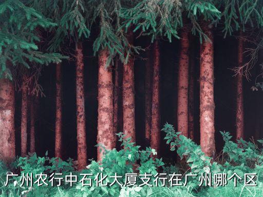 廣州天河北中石化，廣州市天河北中石化大廈郵編