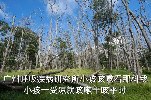 廣州呼吸疾病研究所小孩咳嗽看那科我小孩一受涼就咳嗽干咳平時(shí)