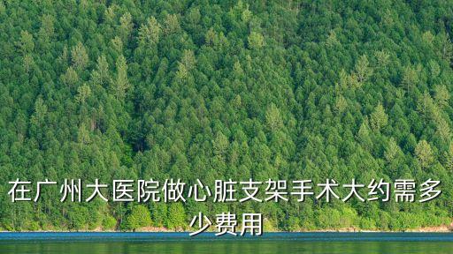 廣州醫(yī)院心臟支架，在廣州大醫(yī)院做心臟支架手術(shù)大約需多少費用
