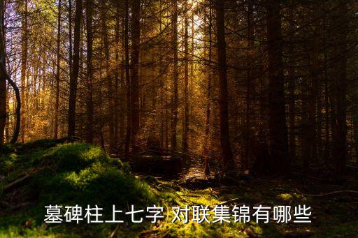 墓碑柱上七字 對聯集錦有哪些