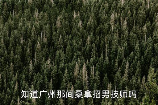 知道廣州那間桑拿招男技師嗎