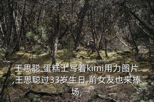 王思聰 蛋糕上寫著kimi用力圖片,王思聰過33歲生日,前女友也來捧場,