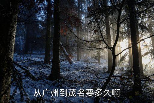 從廣州到茂名要多久啊