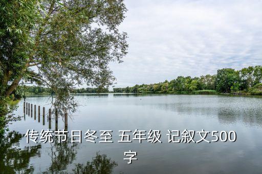 傳統(tǒng)節(jié)日冬至 五年級 記敘文500字