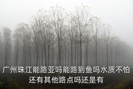 廣州珠江能路亞嗎能路到魚嗎水質(zhì)不怕還有其他路點嗎還是有