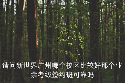 廣州新世界自考怎么樣，請問新世界廣州哪個校區比較好那個業余考級簽約班可靠嗎