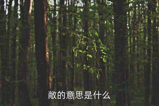 敞開的意思,袒開的意思是什么