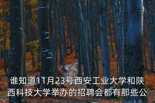 誰知道11月23號西安工業大學和陜西科技大學舉辦的招聘會都有那些公