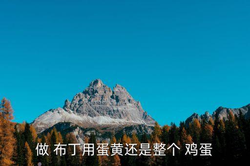 做 布丁用蛋黃還是整個 雞蛋