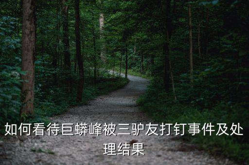 如何看待巨蟒峰被三驢友打釘事件及處理結果