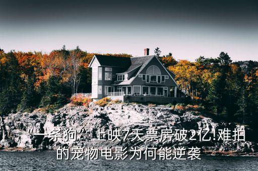 忠犬八公影評,電影忠犬八公影評