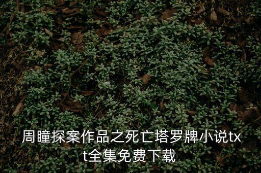 周瞳,《周瞳探案系列》第六部完結(jié)