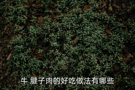 牛 腱子肉的好吃做法有哪些
