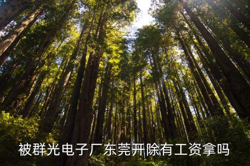 被群光電子廠東莞開(kāi)除有工資拿嗎