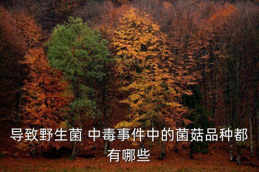 牛肝菌中毒,牛肝菌煮太久會破壞營養素