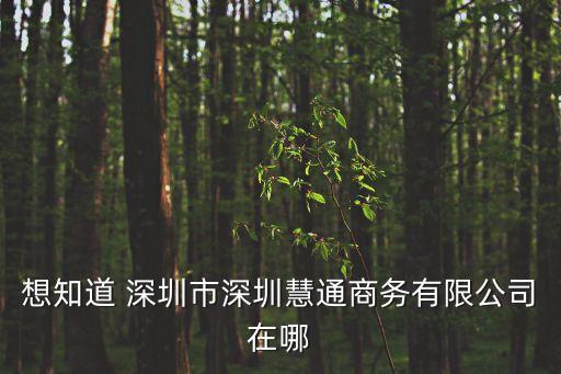 深圳市圣子通投資發(fā)展有限公司，在深圳這樣的公司名稱能否注冊