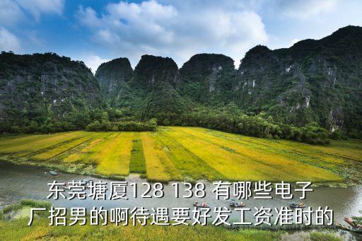 東莞塘廈華恩電子科技，東莞塘廈128 138 有哪些電子廠招男的啊待遇要好發工資準時的