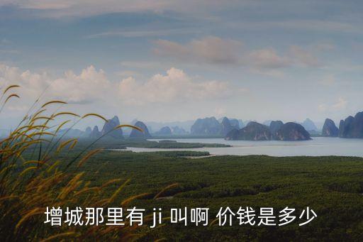 增城那里有 ji 叫啊 價錢是多少