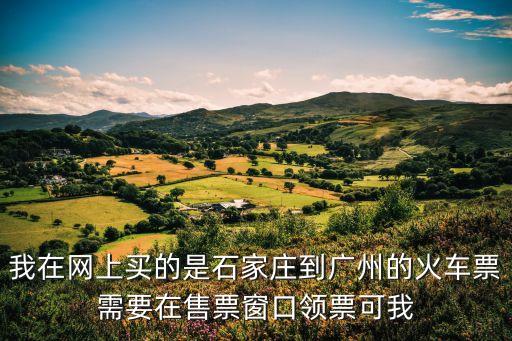 我在網上買的是石家莊到廣州的火車票需要在售票窗口領票可我
