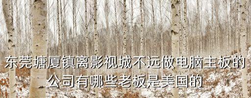 東莞塘廈鎮(zhèn)離影視城不遠做電腦主板的公司有哪些老板是美國的