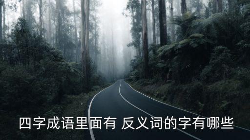 帶有反義詞的四字詞語,四字成語:聰明善用手段愚笨不善于辨別事情