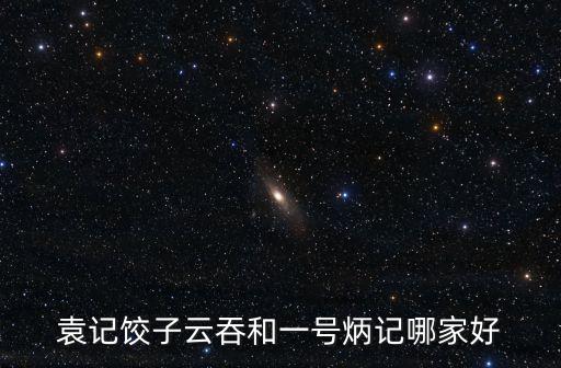 廣州袁記餃子圖片，廣州哪里有特色的云吞吃