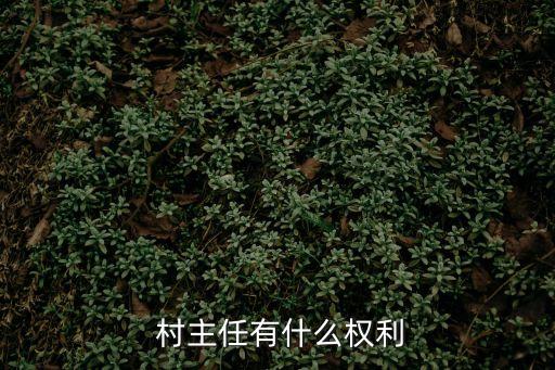 村主任