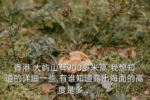 香港 大嶼山有900多米高,我想知道的詳細(xì)一些,有誰知道露出海面的高度是多...