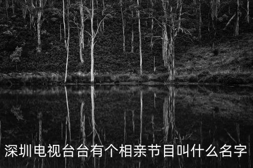 深圳相親天涯，深圳電視臺臺有個相親節目叫什么名字