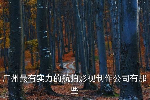 廣州最有實(shí)力的航拍影視制作公司有那些